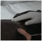 puscapsule1