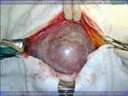 Diapositiva06_JPG