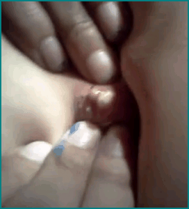 daughterbelly1 daughterbelly1