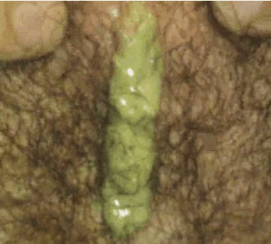 chestriver2