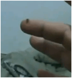 babybot1 babybot1