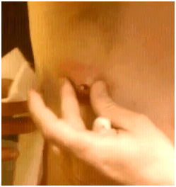 boilboy1 boilboy1