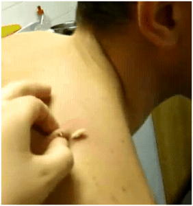 benjaminlucacervi01232012B