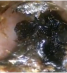 drjwax1000dollars02112012C