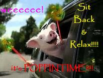 poppintimesig1A9